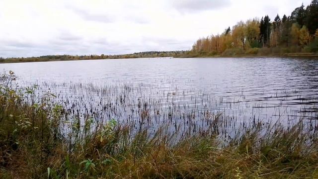 Озеро Волжанка. ч.2. Октябрь 2023 смотреть онлайн