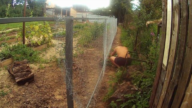 Переделали забор и крепим рабицу. смотреть онлайн