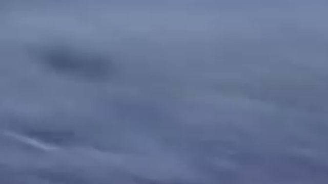 охота на кабана на кукурузе смотреть онлайн