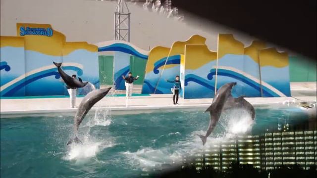 PENTAX K-5 PHOTO w/z The Syncopated Clock смотреть онлайн