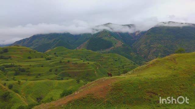 Северный Кавказ