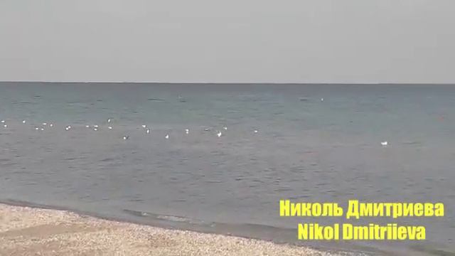 Красота на берегу Азовского моря, Федотова коса. Июль, 2019. смотреть онлайн