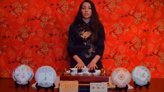 2 500$ на продаже китайского чая. Отзыв Мария Чуваева - Антону Проценко смотреть онлайн