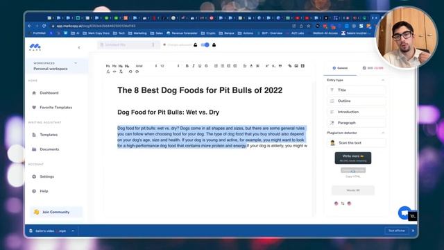 How to write SEO friendly article on Wordpress in 2022 смотреть онлайн