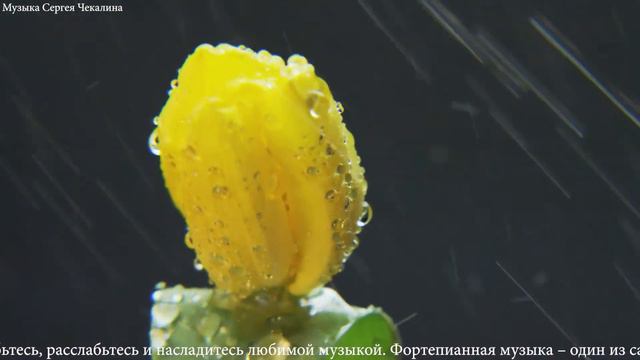 Самая красивая мелодия в мире! Эту музыку можно слушать вечно! Отличная музыка Сергей Чекалин смотреть онлайн