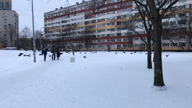 Barni Duck Hunter | Барни охотник на уток смотреть онлайн