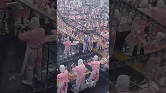 The site of a large chicken slaughter operation смотреть онлайн