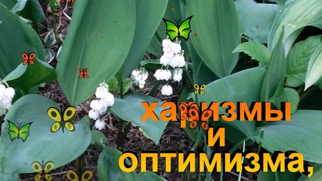 С ДНЕМ БУХГАЛТЕРА 21 ноября! ???Красивое поздравление смотреть онлайн
