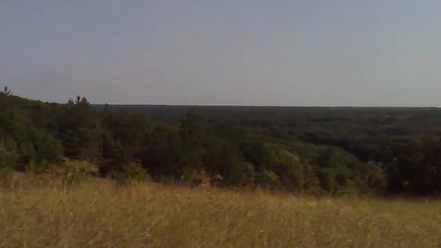 2011 08 13 Лесной лагерь 37 Елисей бежит по степи среди высоких трав смотреть онлайн