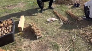 Тополь Пирамидальный- нарезка древесных черенков для размножения Тополя Пирамидального - без пуха!!