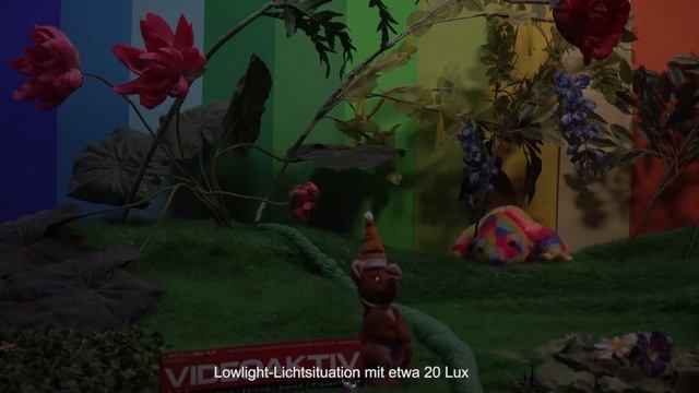 Testvideo: Sony FDR-AX 700 смотреть онлайн