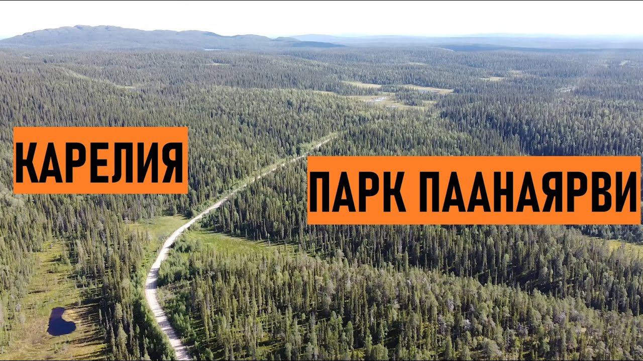 Парк Паанаярви | Отдых в Карелии на горном велосипеде | часть 4