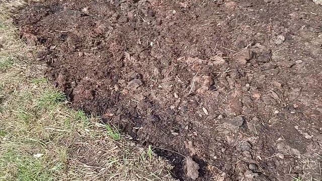 Для чего мы рассаживаем сирень. Планы реорганизации участка. смотреть онлайн