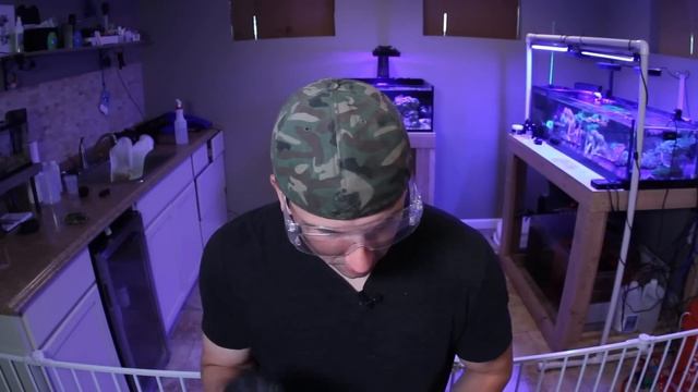 Fragging Hammer Coral With A Dremel And Giving Them Away