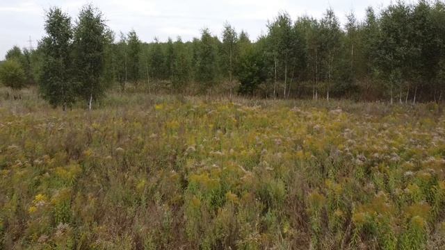 DJI Mini SE - мой НОВЫЙ ДРОН// COMBO-Обзор// ТОП за 40К ? смотреть онлайн