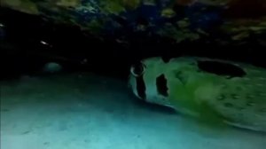 Реакцию на Илью Коллекция Повелители Экватора из пластилина от Сбабам Перезалив