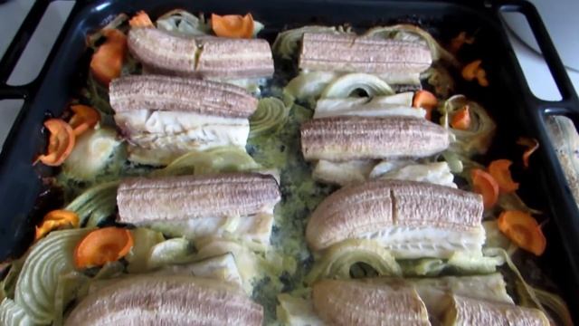 Наука о Животных и их Поведение