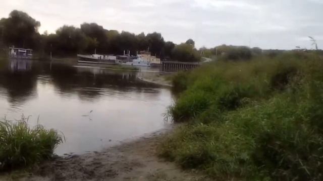 энтлебухер зенненхунд на природе. смотреть онлайн