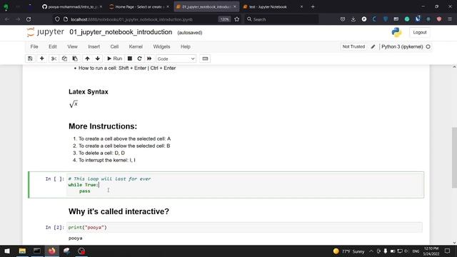Introduction to Jupyter Notebook for Python смотреть онлайн