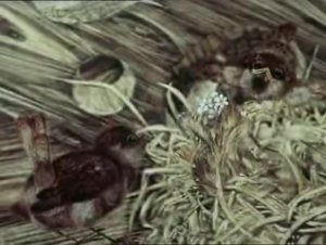 Воробьишко