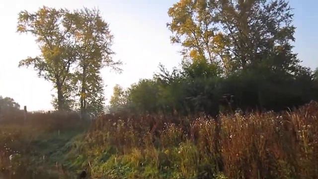 What a wonderful day - восклицание по-английски смотреть онлайн