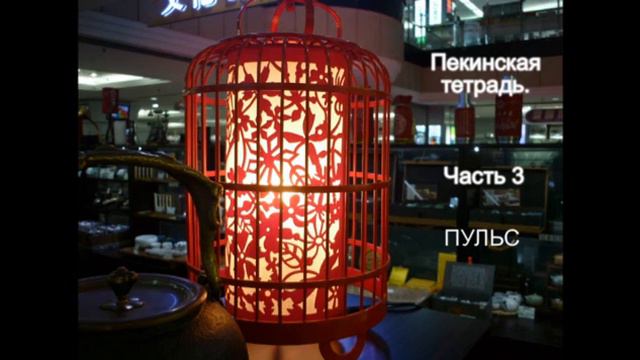 Пекинская тетрадь. Часть 3. Пульс. Худовеков М.А. смотреть онлайн