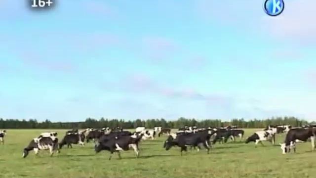 19 03 2013 Сельское хозяйство смотреть онлайн