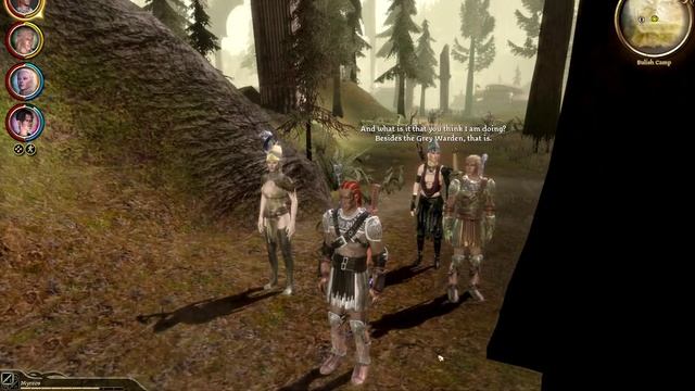 Dragon Age: Origins Morrigan and Zevran talk about their "friendship" with the Grey Warden... смотреть онлайн