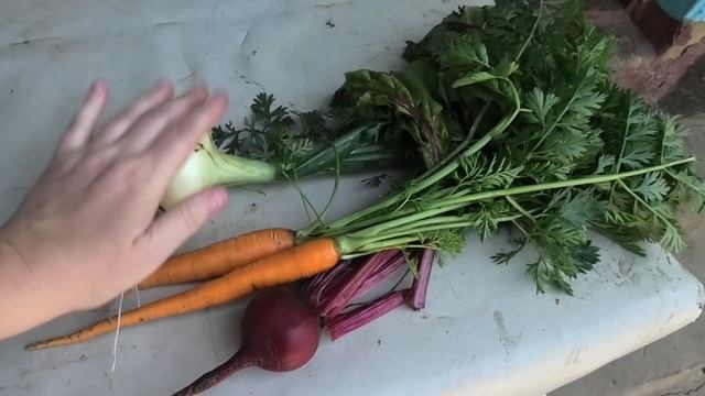 Ноги отваливаются...Первый урожай, Отмываю подарок) смотреть онлайн