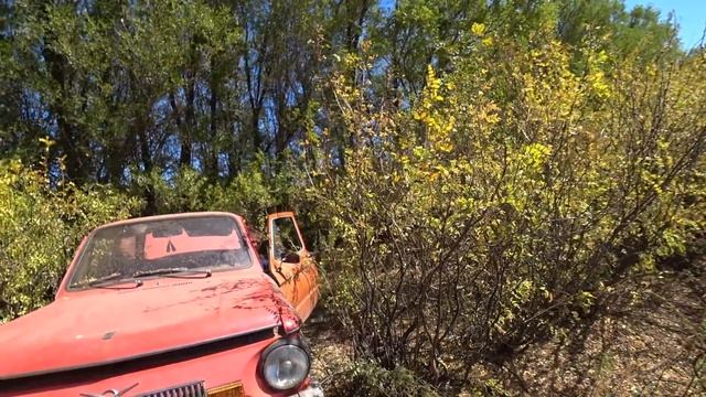 Нашли старый запорожец в лесу ! смотреть онлайн