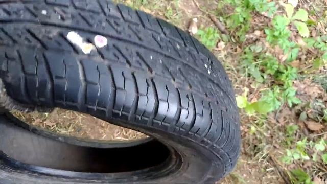 Празднуем день рождения кота Бориса смотреть онлайн