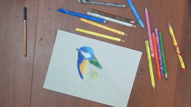 Как нарисовать птичку-синичку цветными карандашами koh-i-noor Magic Multicoloured Pencils смотреть онлайн