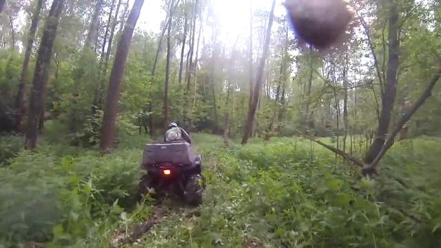 Русский лес 2017 смотреть онлайн