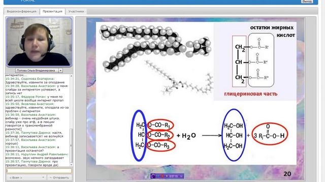 Особенности энергетического обмена в живой клетке смотреть онлайн
