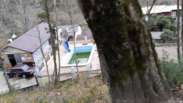 Волконка в декабре. 2021 г.