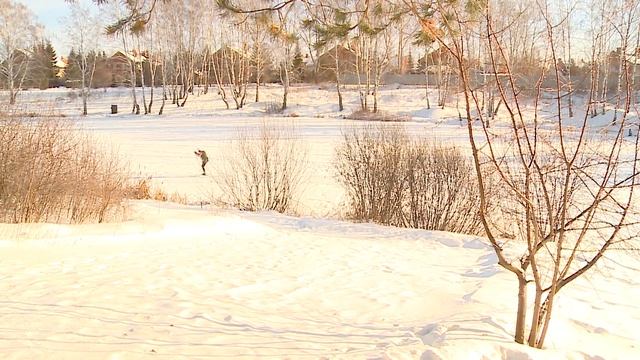 Туризм бывает и таким. Трюки лыжах, взбирание на дерево. Чемпионат области по спортивному туризму смотреть онлайн