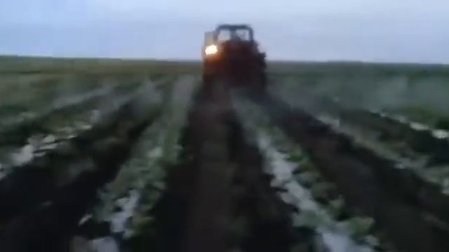Опрыскивание,проклеим фит+адью смотреть онлайн