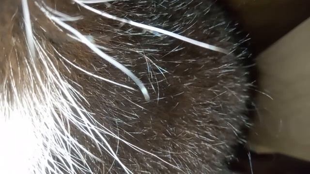 камера камера 3 смотреть онлайн