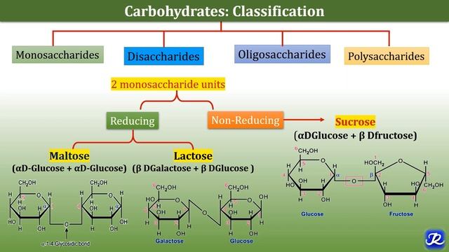 1:Carbohydrates-Definition, Classification, Functions | Carbohydrate Chemistry 1| Biochemistry смотреть онлайн