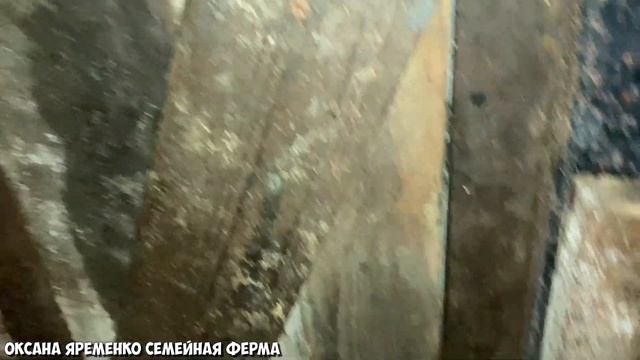 Разгребаем последствия потопа / Влог от 28.02.20 смотреть онлайн