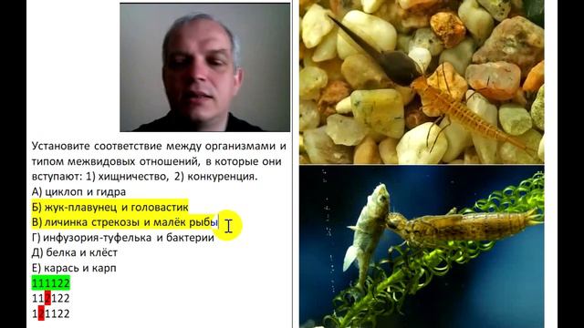 Видео-объяснение для Биоробота смотреть онлайн