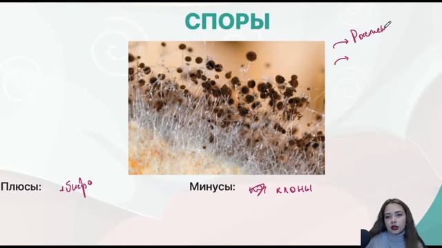 Виды размножения | Биология ЕГЭ 2021 | ДАЙБОБРУ смотреть онлайн