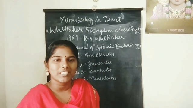 Classification and Grouping of Microorganisms தமிழில் смотреть онлайн
