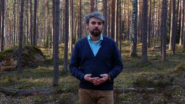 Бесплатные онлайн-курсы по фотографии. смотреть онлайн