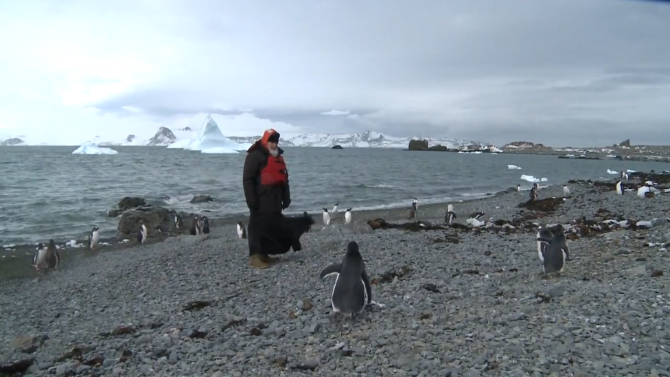 Патриарх Кирилл и пингвины смотреть онлайн