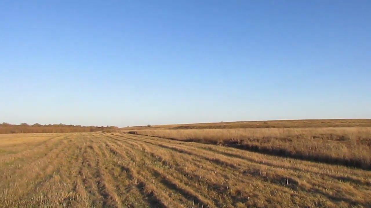 Исчезнувшая деревня Березовка, Вольский район.