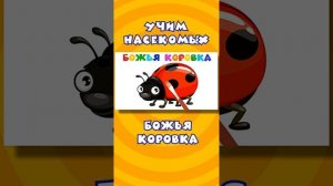 Божья коровка | Насекомые | Развивающие мультики #мультики #развивающие #насекомые
