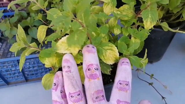 Игры и Развлечения