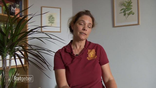 Schlafzimmerpflanzen – Die Multitalente unter den Zimmerpflanzen | Die Ratgeber смотреть онлайн