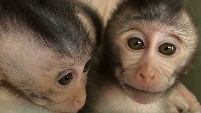 КАКИМИ БУДУТ ЛЮДИ ЧЕРЕЗ 1000 ЛЕТ?